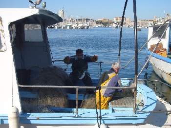 Fisherman selling fresh from the net